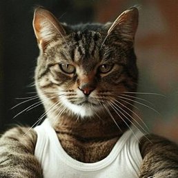 ���������, ������, 56 ���