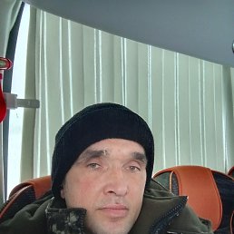 ���� ������, ������, 41 ��� - ��������� 29 ������� 2024