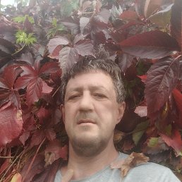 ���� Marcello, ��������, 47 ��� - ��������� 16 �������� 2026