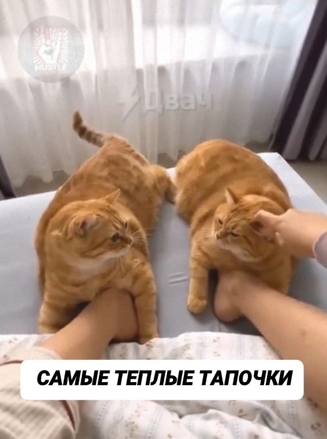      - 2