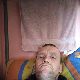 ����, ������, 41 ���