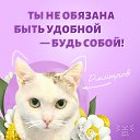���� �����, �����, 50 ��� - ��������� 11 ����� 2025 � ������ ���� ����������