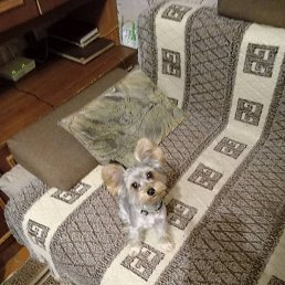 ���������, �����, 47 ���