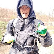 ���� ������, 38 ���, ������