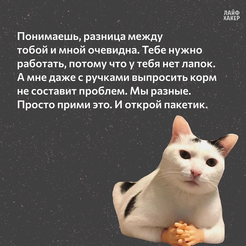�� ������.