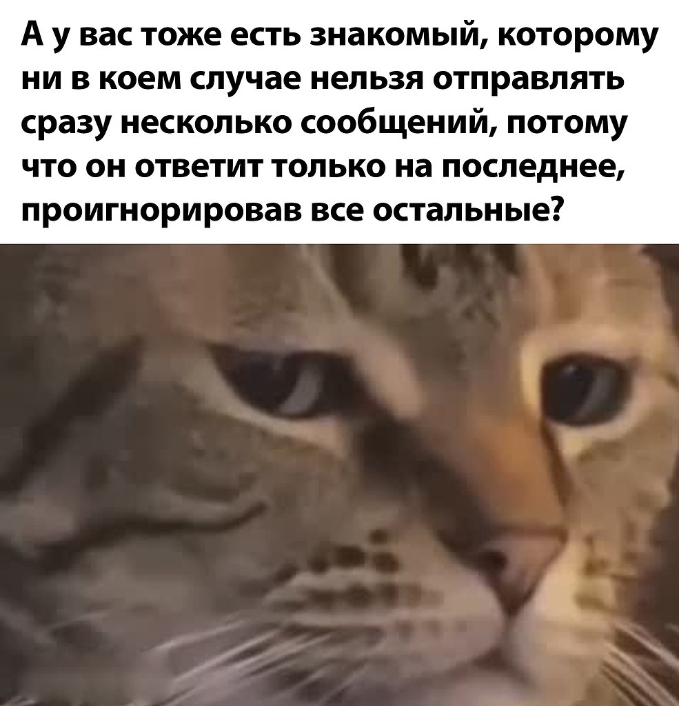  - 11  2025  15:58