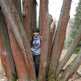 ��������, ������, 37 ���