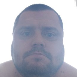 ����, �����-���������, 40 ���