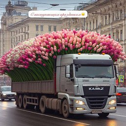 ���������, �������, 43 ����