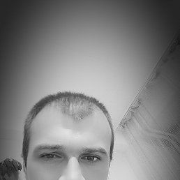 , 44, 