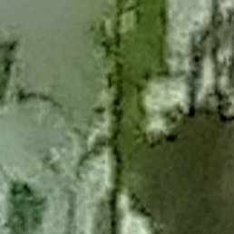 �����, ������, 57 ���