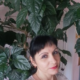 , 41, 