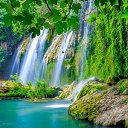 ���� ���, ����, 85 ��� - ��������� 22 ��� 2026 � ������ ���� ����������