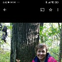 ���� �������, ������, 50 ��� - ��������� 10 ������ 2024