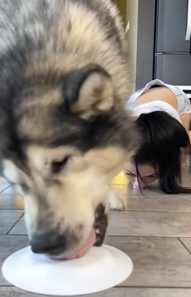  !