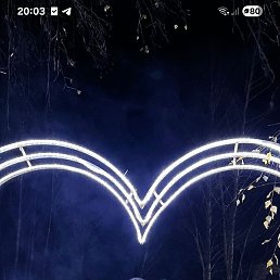 ����, ���, 38 ���