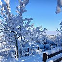 ���� ���, �����, 51 ��� - ��������� 24 ������ 2026 � ������ ������ ��������