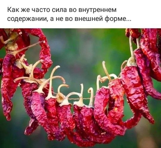 �������� - 1 ��� 2026 � 19:35