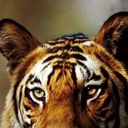 ���� �����, ������, 59 ��� - ��������� 24 ������� 2023