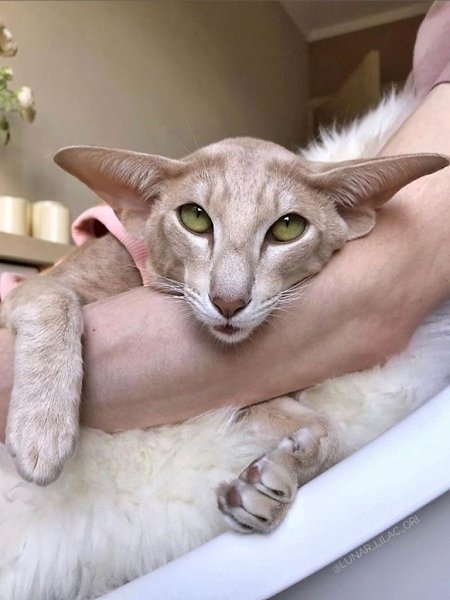 �� ����� �� ��� �������, ����� ����� �� ����������, ��� ��� ������� - 3