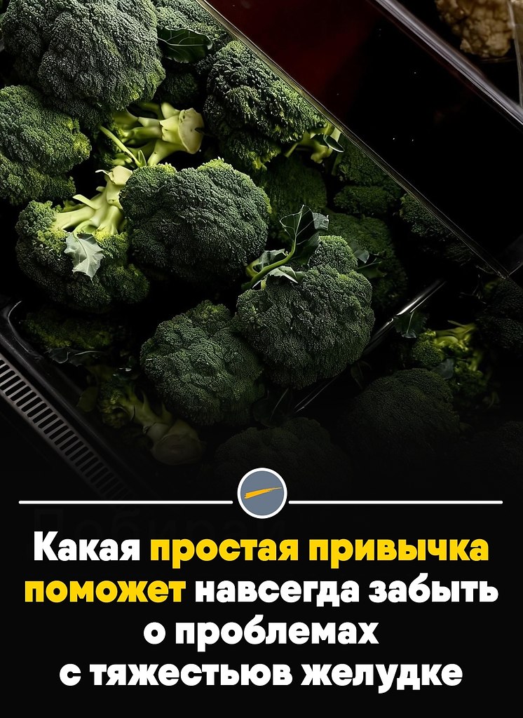 ������������� � ������� �������� �������� � ������������ ���������� �������� ���������. ���� ...