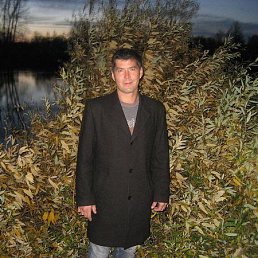 , 54, 