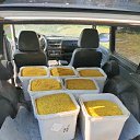 ���� ���������, ����, 68 ��� - ��������� 8 ������ 2025 � ������ ���� ����������