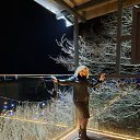 ���� Alisa, �����������, 52 ���� - ��������� 15 ������� 2025