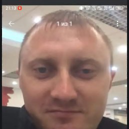 �������, 41 ���, ���������