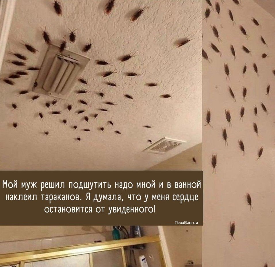 � ��� ��� ��� ������ ��������?