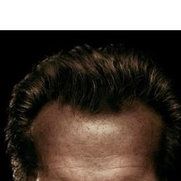 ����, 47 ���, ��������