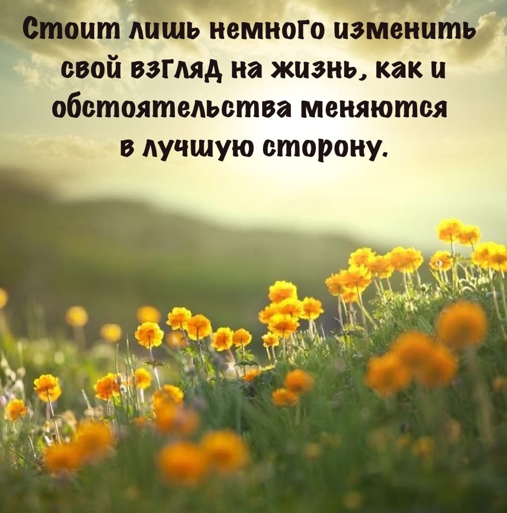 �������� ������ - 29 ���� 2026 � 19:22