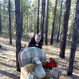 �������, 49 ���, �����������