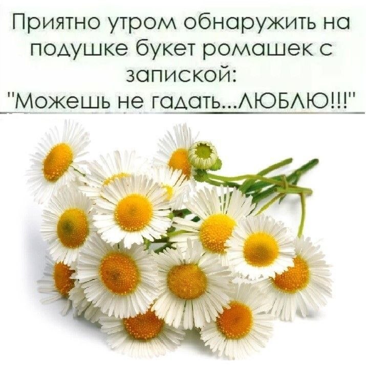   - 19  2025  06:51