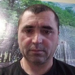 ������, �������, 44 ����