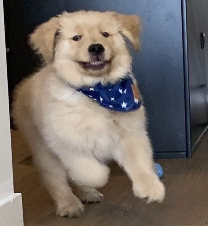 �������, ��� ��������� ������� � ������