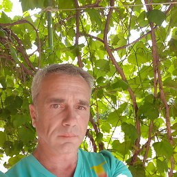 �������, ����, 53 ����