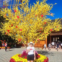 �������, ����, 56 ���