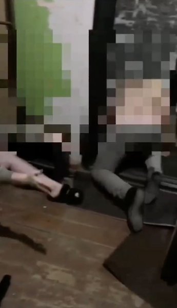 Владивосток: питбуль по команде хозяина напал на женщину с ребенком. Во Владивостоке мужчина ... - 2