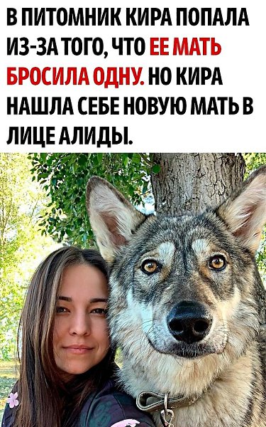 ���� � ����� ���� ��������� ������ - 3