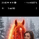 ���� ����, ������ - ��������� 12 ������� 2026 � ������ ������ ��������