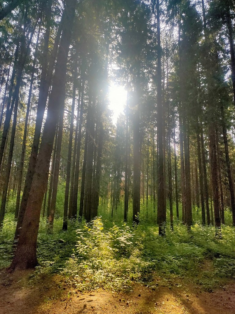         -   .:  