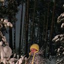 ���� ������, ��������������, 55 ��� - ��������� 31 ������ 2026 � ������ ���� ����������