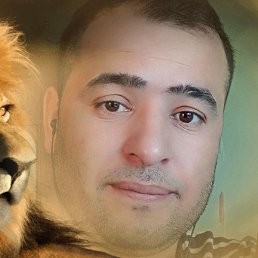 �����, ������, 36 ���