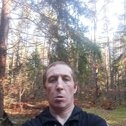 �����, 46 ���, ��������