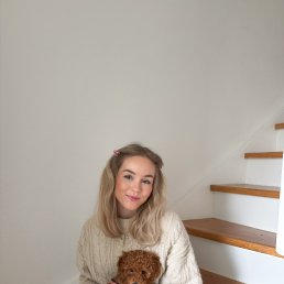 �����, 29 ���, �������