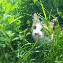 ���� ������, ������, 41 ��� - ��������� 14 ������ 2023 � ������ ���� ����������