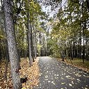 ���� ����, ���, 68 ��� - ��������� 28 �������� 2025 � ������ ������ ��������