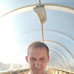 , 39, 