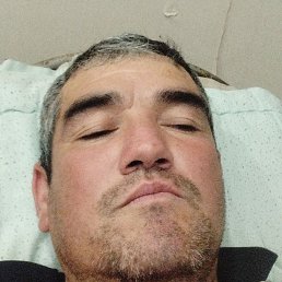 ��������, ������, 40 ���